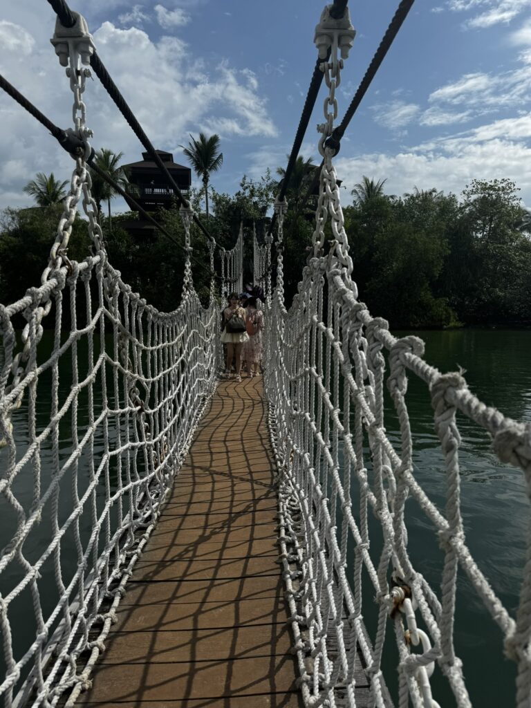 IMG_0223